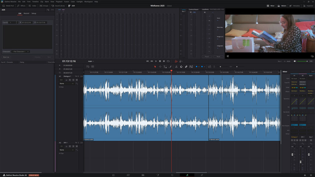 DaVinci Resolve Fairlight tab for an example project