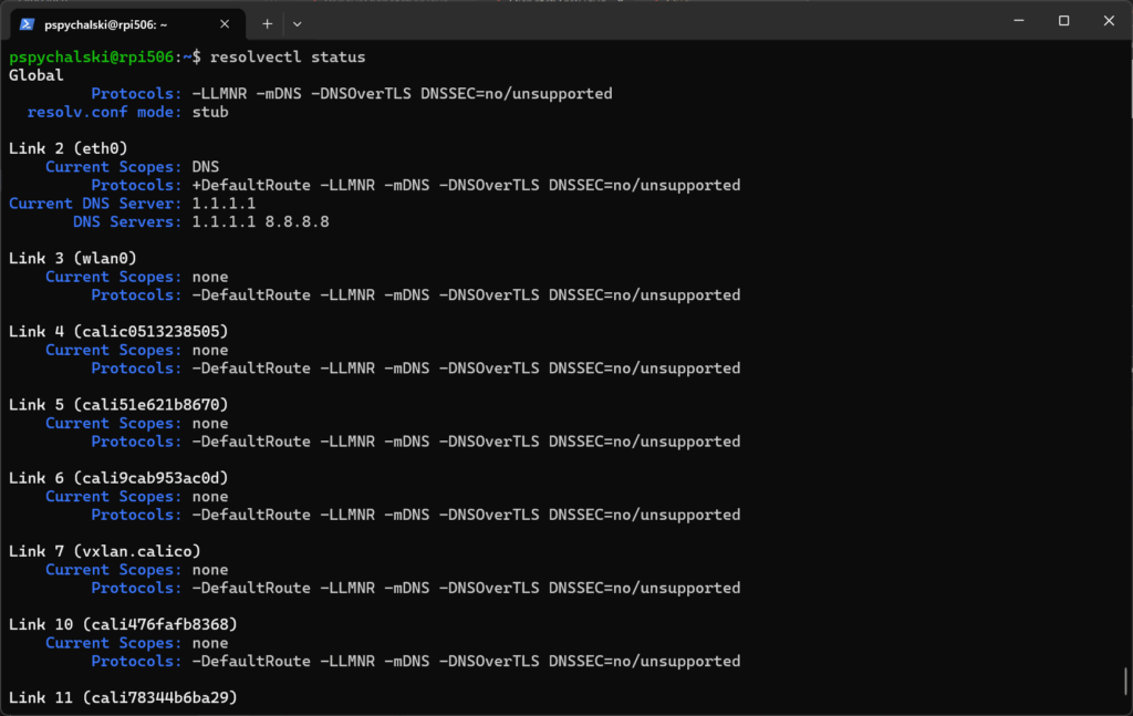 Result of resolvectl status command showing static IP and DNS settings applied